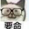 208****512头像