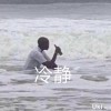 271****981头像