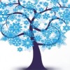 蓝叶树