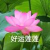 949****742头像